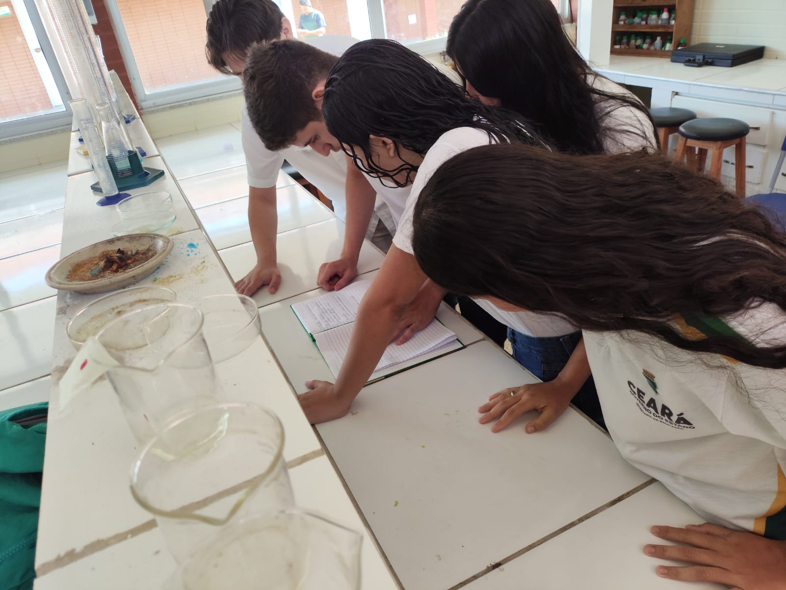 Caderno de campo do projeto